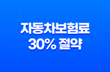 2025 자동차보험료 30% 절약 비법(+ 숨겨진 할인 꿀팁 공개) 19