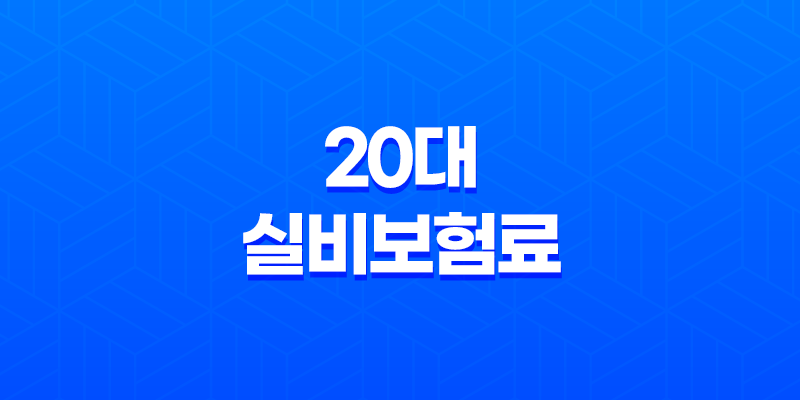 20대 실비보험료 평균, 도대체 얼마일까? 4세대 실손 완벽 분석! 8 20대 실비보험료 평균, 도대체 얼마일까? 4세대 실손 완벽 분석! 7