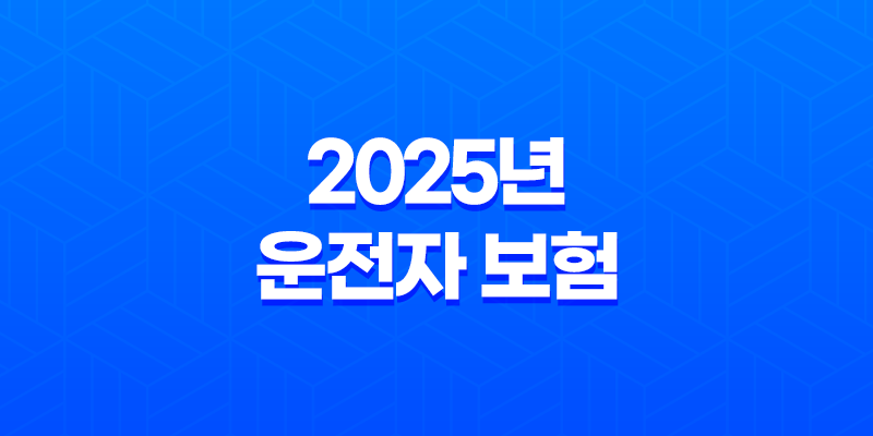 2025년 운전자 보험 왜 필수로 가입해야 할까요? 8 2025년 운전자 보험 왜 필수로 가입해야 할까요? 7