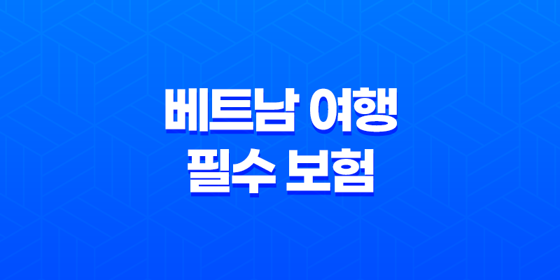 2025년 베트남 여행 필수 보험 가이드 - 이것만 알면 안심! 7