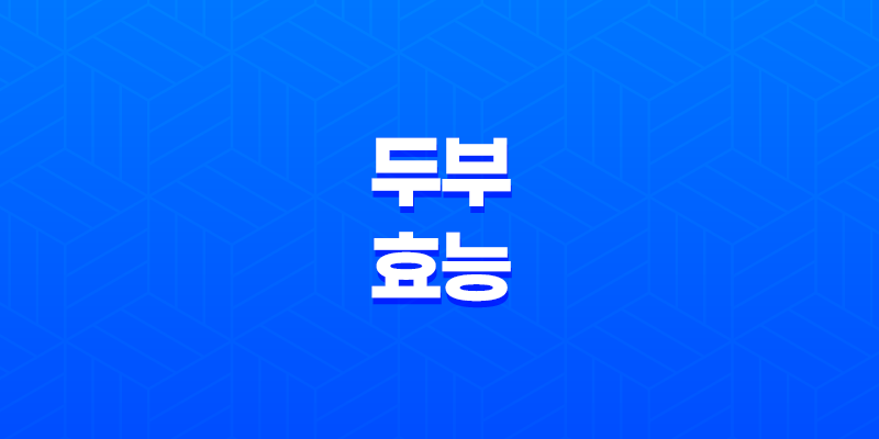 두부의 놀라운 효능 7