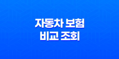 2025년 자동차 보험 비교 조회 25