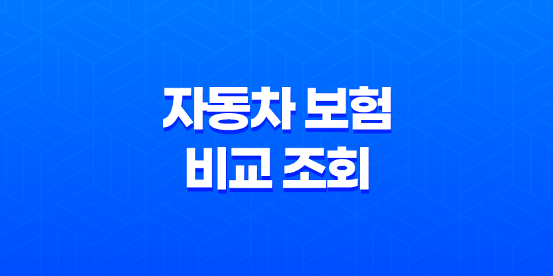 2025년 자동차 보험 비교 조회 8 2025년 자동차 보험 비교 조회 7