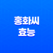 9가지 홍화씨 효능 27