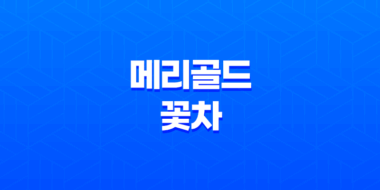 메리골드 꽃차 8가지 효능 65