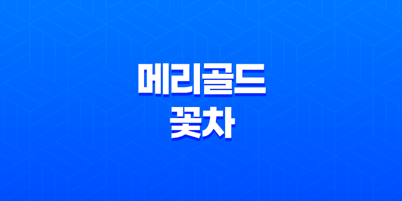 메리골드 꽃차 8가지 효능 8 메리골드 꽃차 8가지 효능 7