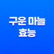 구운 마늘의 놀라운 효능 19