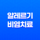 알레르기 비염 치료 방법과 증상 효과적인 내용 20 알레르기 비염 치료 방법과 증상 효과적인 내용 19