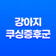 강아지 쿠싱증후군(+ 증상, 합병증, 치료 방법 전문 안내) 13