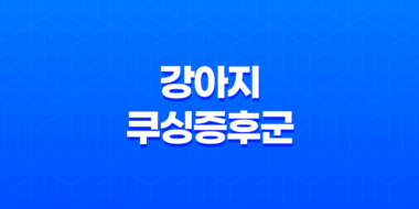 강아지 쿠싱증후군(+ 증상, 합병증, 치료 방법 전문 안내) 55
