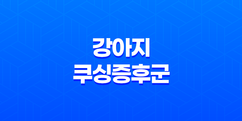 강아지 쿠싱증후군(+ 증상, 합병증, 치료 방법 전문 안내) 7