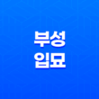 부성입묘(夫星入墓)의 의미와 세 가지 조건 17