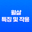 월살(月殺) 특징 및 작용 - 극복의 길을 찾아! 23