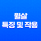 월살(月殺) 특징 및 작용 - 극복의 길을 찾아! 23