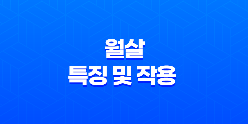 월살(月殺) 특징 및 작용 - 극복의 길을 찾아! 7