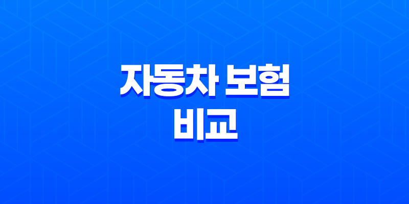 2025년 자동차 보험 비교 : 꼼꼼하게 따져보고 저렴하게 가입하는 방법 - 총정리 8 2025년 자동차 보험 비교 : 꼼꼼하게 따져보고 저렴하게 가입하는 방법 - 총정리 7