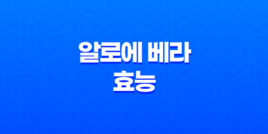 알로에 베라 16가지 효능과 주의사항 81