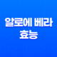 알로에 베라 16가지 효능과 주의사항 17