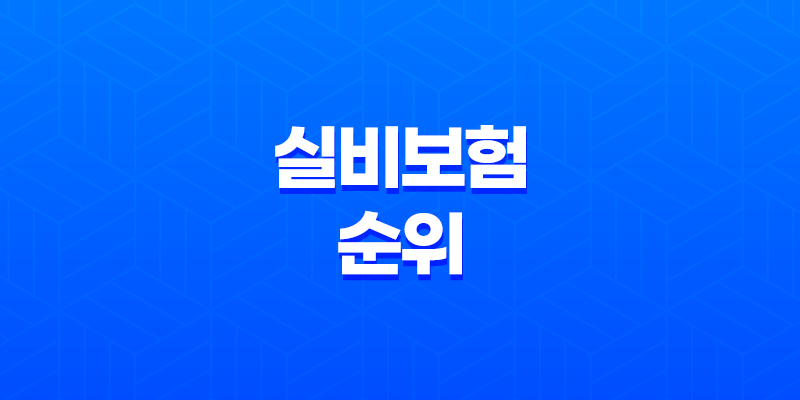 2025년 실비보험 순위 완벽 분석 - 후회 없는 선택 가이드 8 2025년 실비보험 순위 완벽 분석 - 후회 없는 선택 가이드 7