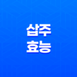 삽주의 효능과 다양한 이점 27