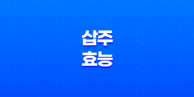 삽주의 효능과 다양한 이점 97