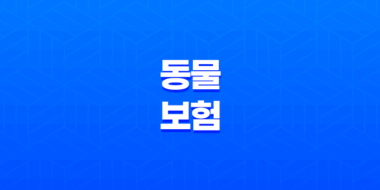 동물 보험 - 2025년, 사랑하는 반려동물을 위한 필수 가이드 39