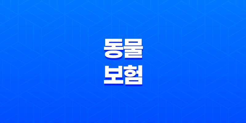 동물 보험 - 2025년, 사랑하는 반려동물을 위한 필수 가이드 7