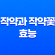 작약과 작약꽃 효능에 대해 알아보자 29