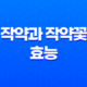 작약과 작약꽃 효능에 대해 알아보자 29
