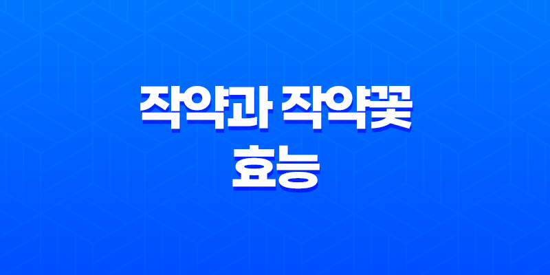 작약과 작약꽃 효능에 대해 알아보자 8 작약과 작약꽃 효능에 대해 알아보자 7