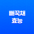 뻐꾹채(+ 건강에 놀라운 효능과 다채로운 맛) 33