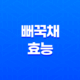 뻐꾹채(+ 건강에 놀라운 효능과 다채로운 맛) 23