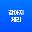 강아지 체리 급여 가능한지, 주의할 점과 안전한 방법 25