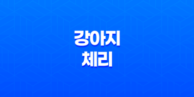 강아지 체리 급여 가능한지, 주의할 점과 안전한 방법 51