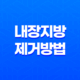 내장지방 제거 방법 | 효과적인 전략으로 건강한 몸매 만들기 27