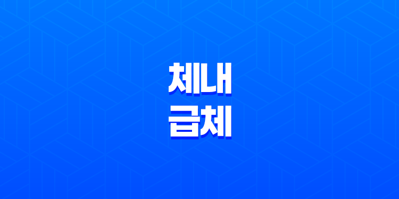 체내 급체의 이해와 해결방법 8 체내 급체의 이해와 해결방법 7