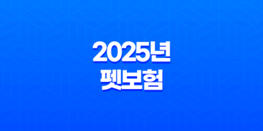 2025년 펫보험 비교 - 10가지 핵심 질문과 답변, 완벽 가이드 37