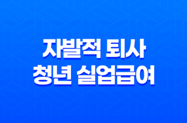 2025년 자발적 퇴사 청년 실업급여 조건과 전망 완벽 정리 27