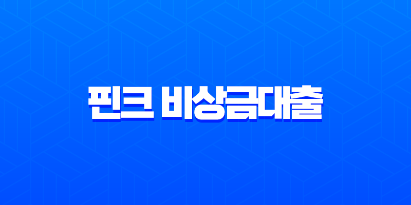핀크 비상금대출 후기 상세 분석 조건 신청 방법 및 실제 경험담 8 핀크 비상금대출 후기 상세 분석 조건 신청 방법 및 실제 경험담 7