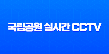국립공원 실시간 CCTV 모바일 확인 방법 등산 전 날씨 체크 필수 가이드 1