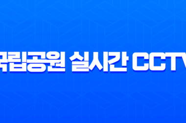 국립공원 실시간 CCTV 모바일 확인 방법 등산 전 날씨 체크 필수 가이드 17