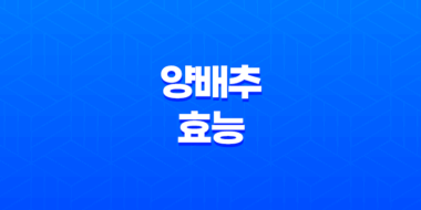 양배추 효능 6가지와 부작용(+ 건강에 도움되는 비밀!) 61